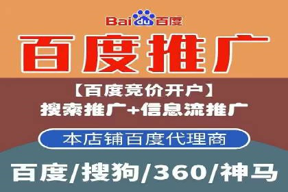 百度推广案例：成功打造行业领军品牌